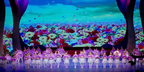 心中的馬蘭花 開(kāi)啦 昕宇藝術(shù)培訓(xùn)中心綻放2017全區(qū)六一文藝晚會(huì)